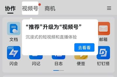 如何查看钉钉上视频号